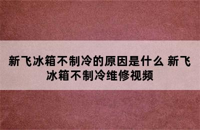 新飞冰箱不制冷的原因是什么 新飞冰箱不制冷维修视频